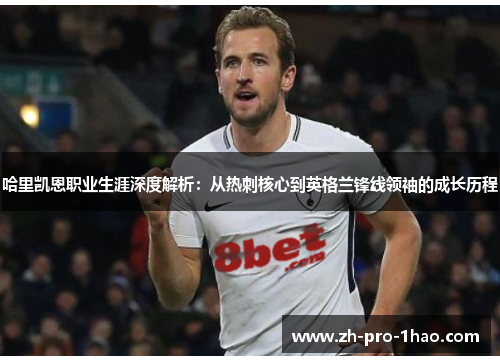 哈里凯恩职业生涯深度解析：从热刺核心到英格兰锋线领袖的成长历程