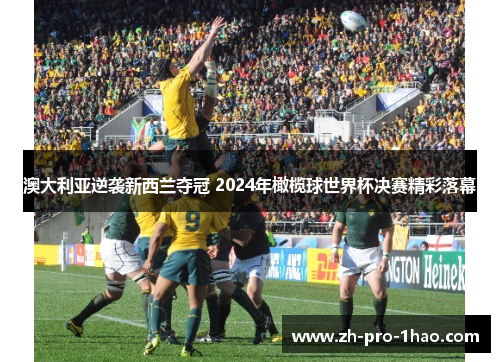 澳大利亚逆袭新西兰夺冠 2024年橄榄球世界杯决赛精彩落幕